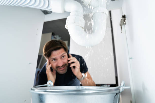 Best Local Plumber Services  in Bloomfield, IN